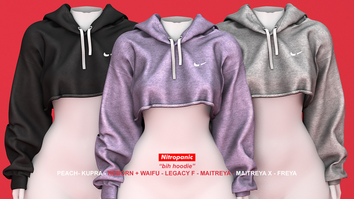 Nitropanic_Bih Hoodie FPACK (ADD)