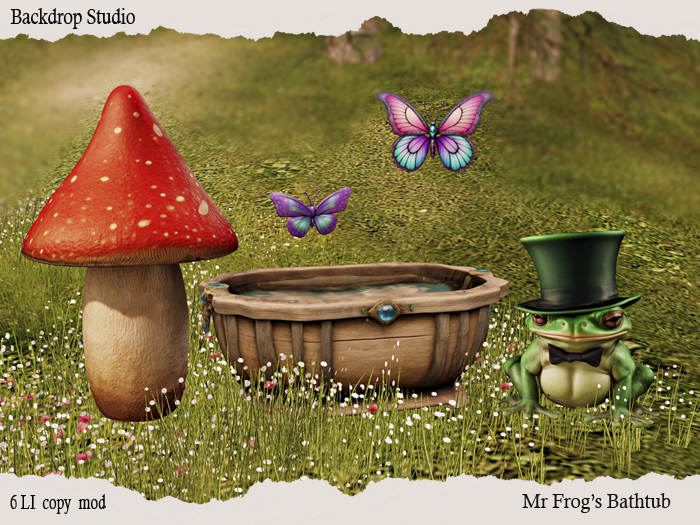 Mr Frog's Bathtub