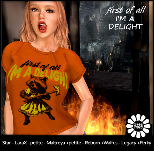 GoodVibes Raccoon Delight Orange