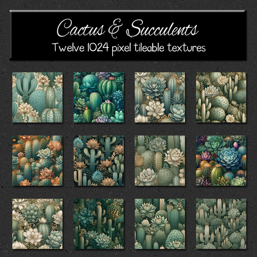 *Wallflowers* Cactus & Succulents
