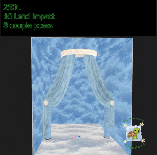 Wedding canopy Scene