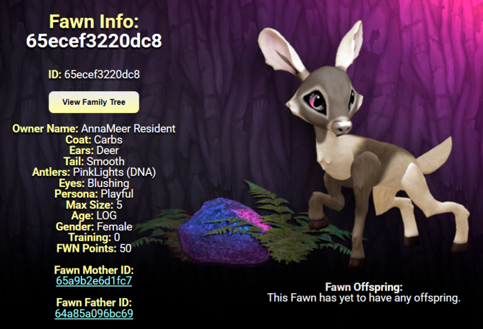 CARBS BLUSHING FEMALE (PINK LIGHTS DNA) SIZE 5 Breedable Fawn Log No Food Necessary!