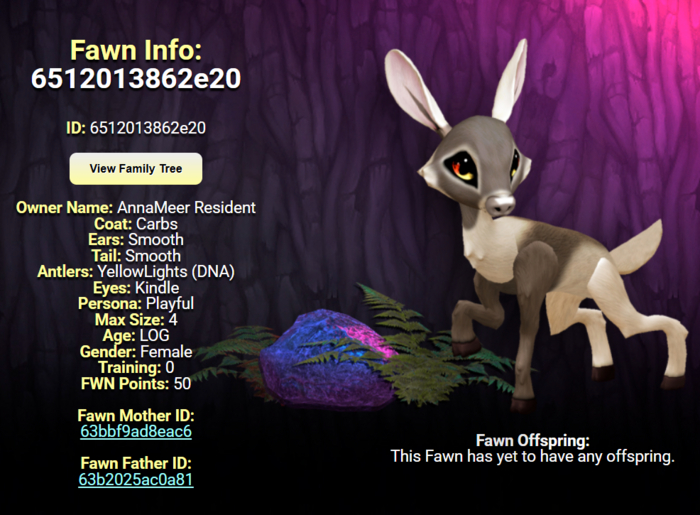 CARBS KINDLE FEMALE (YELLOW LIGHTS DNA) SIZE 4 Breedable Fawn Log No Food Necessary!