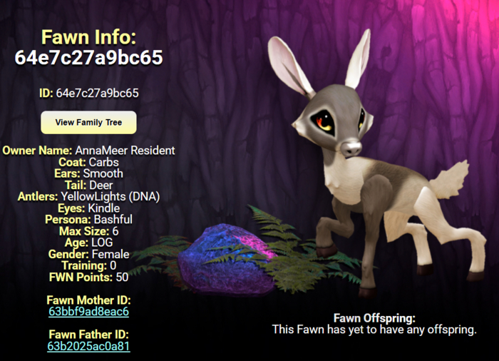 CARBS KINDLE FEMALE (YELLOW LIGHTS DNA) SIZE 6 Breedable Fawn Log No Food Necessary!