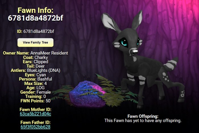 CHARKY CYAN FEMALE (BLUE LIGHTS DNA) SIZE 4 Breedable Fawn Log No Food Necessary!