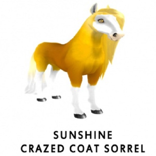 Sunshine Crazed M