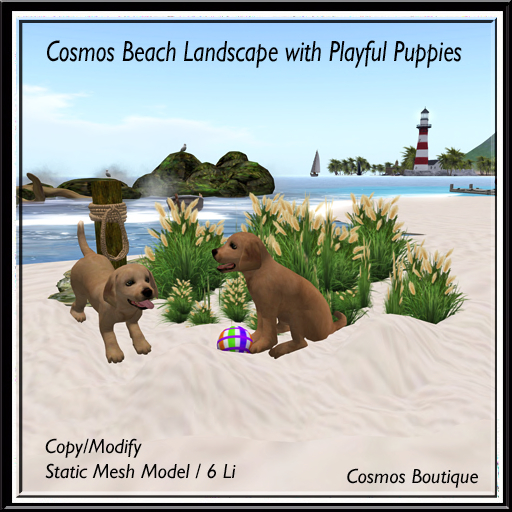 Cosmos Beach Landscape with Playful Puppies  (BOX)