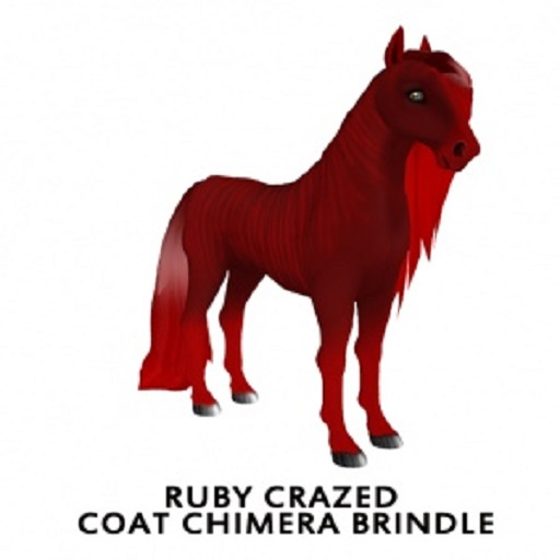 Ruby Crazed Coat Chimera Brindle F