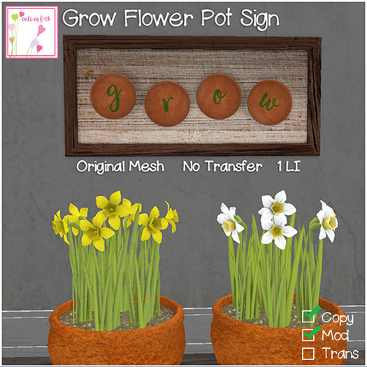 ::cute as f*ck::Grow Flower Pot Sign (Boxed)