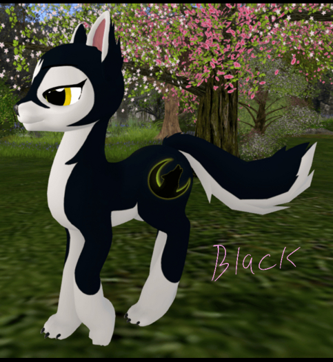 {IO&I}Open Pony husky normal pack