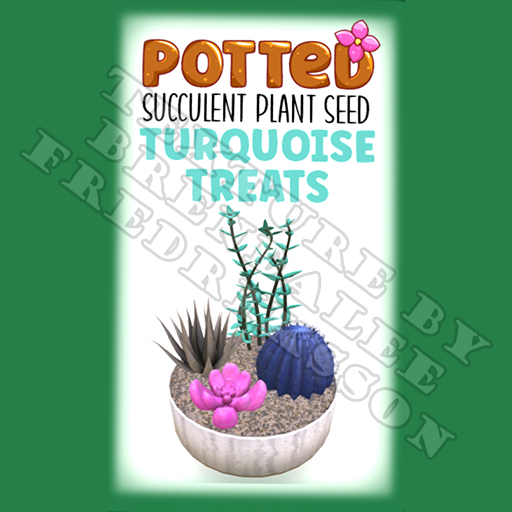 Potted: Succulent Plant Seed: Turquoise Treats (ACTUAL PLANT SEED) - Retired!