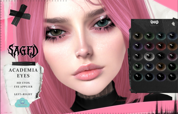 SAGED. Academia Eyes EVOX