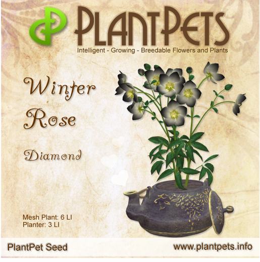 PlantPet Seed [Winter Rose *Diamond*]
