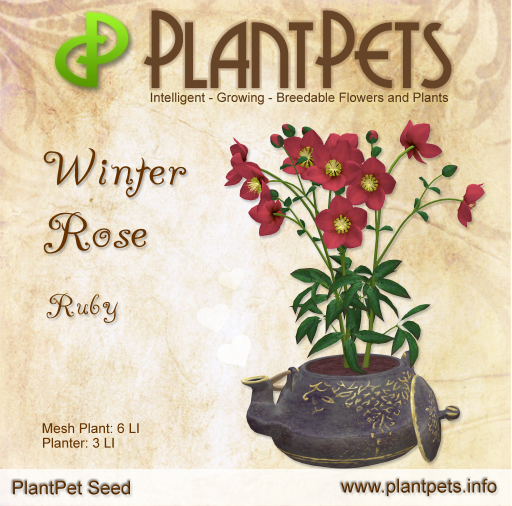 PlantPet Seed [Winter Rose *Ruby*]