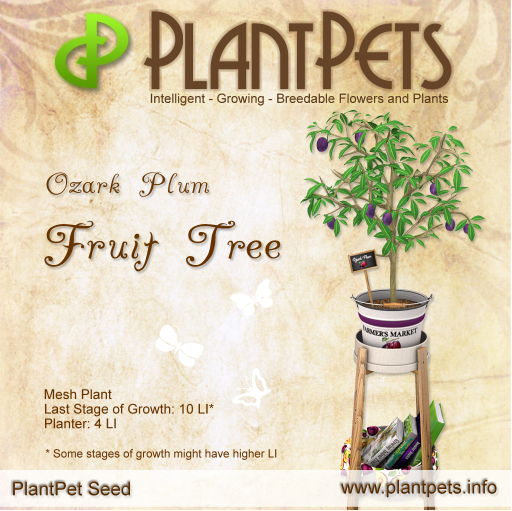 PlantPet Seed [Fruit Tree *Ozark Plum*]