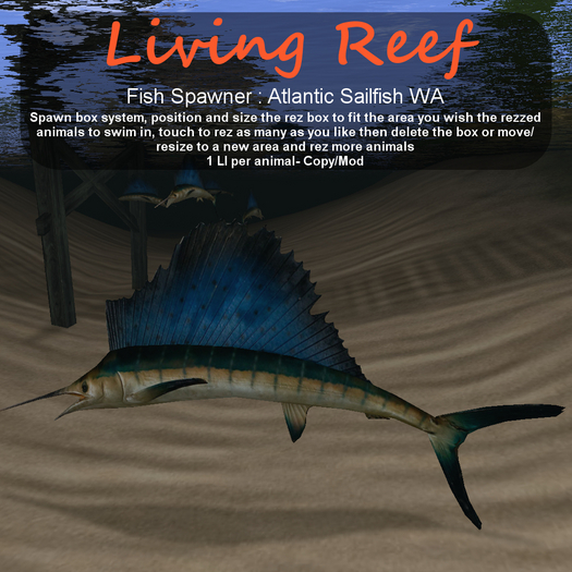Inochi Reef - Atlantic Sailfish WA
