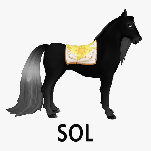 MandarinCCSheti Sol Blanket F