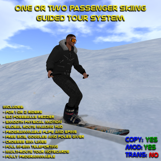 Downhill Skiers System