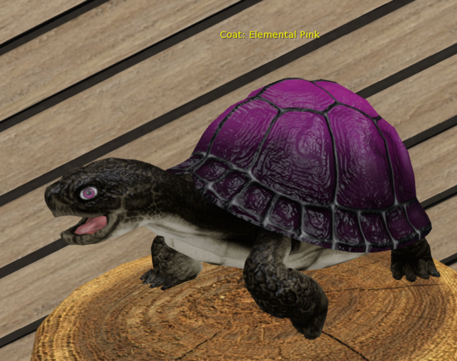 Male Large Breedable Foxtrot Box Turtle Elemental Pink