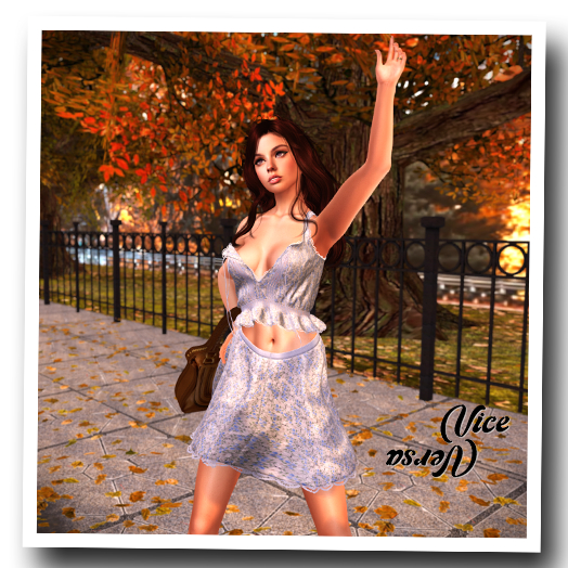 Vice Versa The Waiting Girl 2 Unpacker