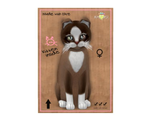 KittyCatS Box - 9T - F - Chateau Cat - Toffee Caramel