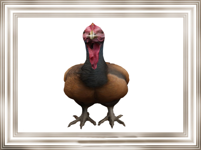 HB: Turkey statue FULL PERM