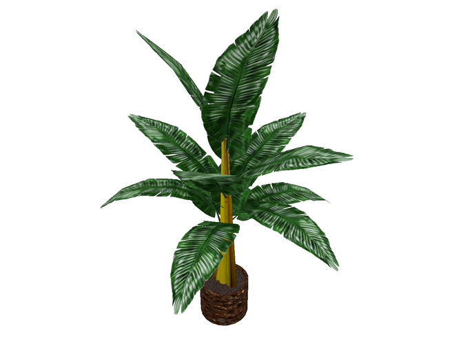 Atheria Designs Banana Plant One of a Kind Pot Texture