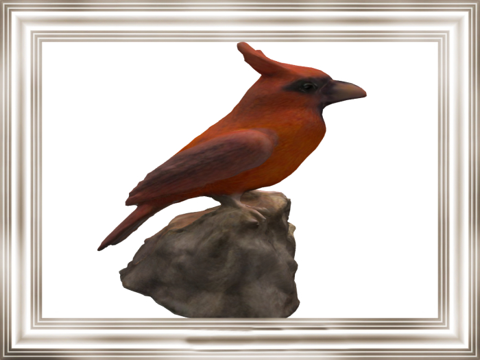 HB: Cardinal Stone FULL PERM