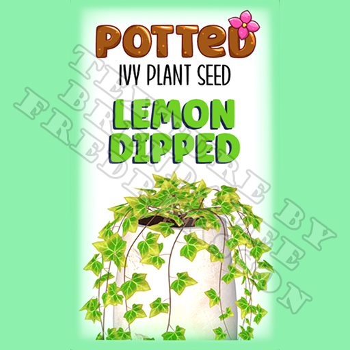 Potted: Ivy Plant Seed: Lemon Dipped (ACTUAL PLANT SEED) - Retired!