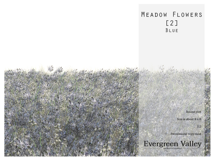 Meadow Flowers [2] Blue