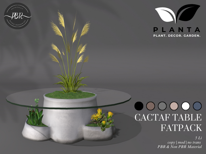 Planta - Cactaf Table Fatpack