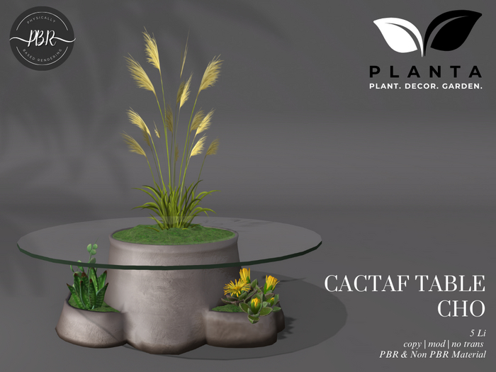 Planta - Cactaf Table Cho