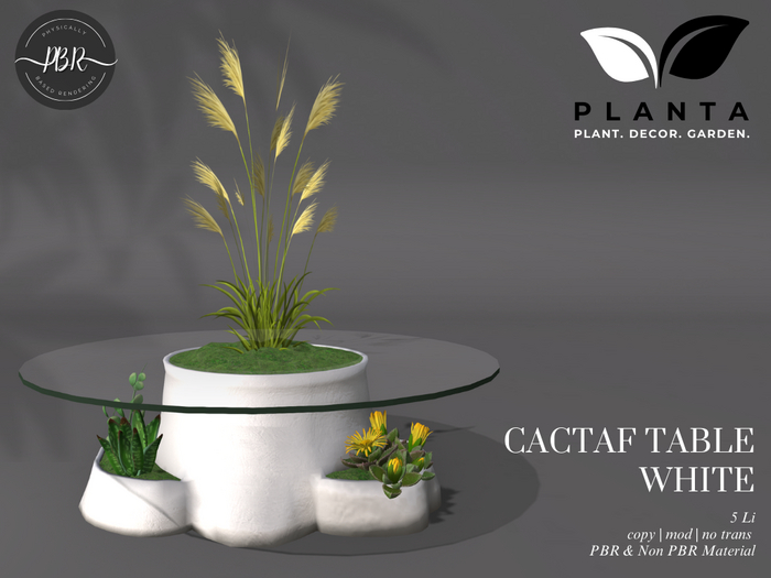 Planta - Cactaf Table White