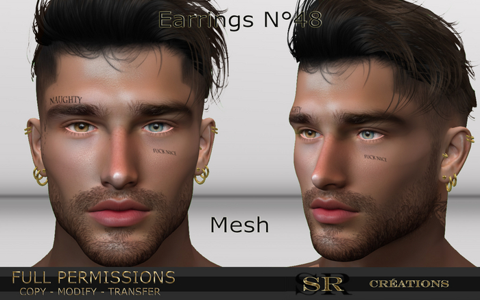 Earrings n 48 Full Permissions (RIGGED)  Box