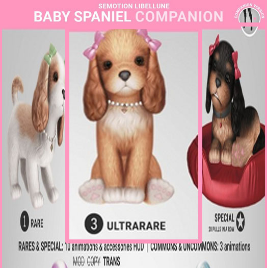 SEmotion Libellune Baby Spaniel Companion ULTRARARE 03
