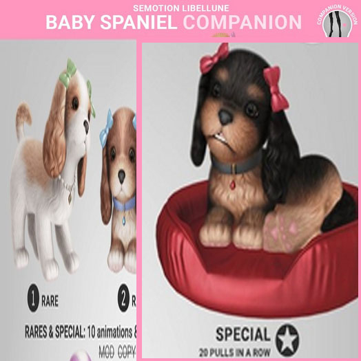 SEmotion Libellune Baby Spaniel Companion SPECIAL