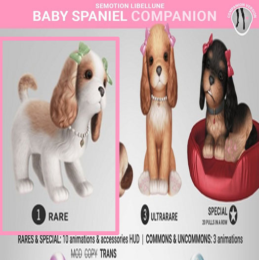 SEmotion Libellune Baby Spaniel Companion RARE 01