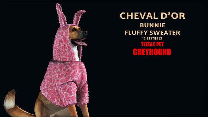 Cheval D'or / Teeglepet Greyhound / Bunnie Fluffy Sweater. [HUD]