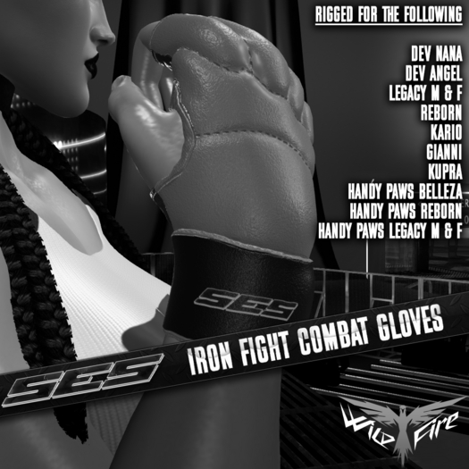 SES: IRON Fight Gloves *DEMO*