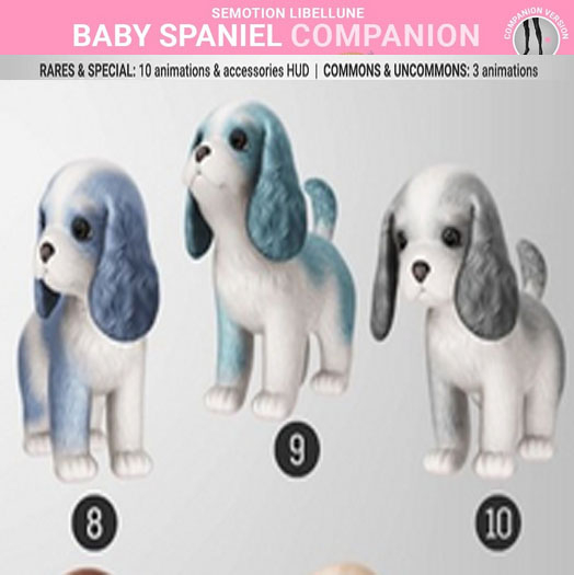 SEmotion Libellune Baby Spaniel Companion COMMON 09