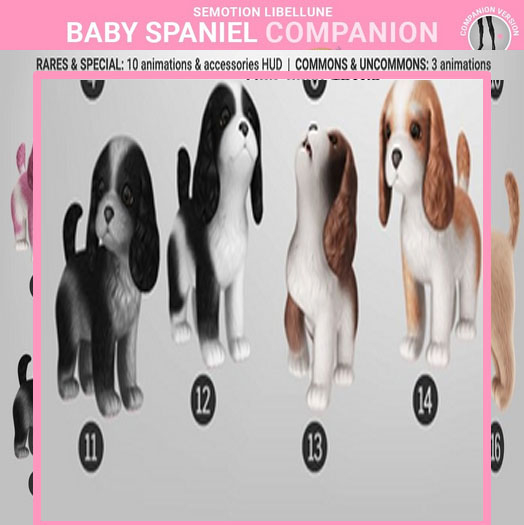 SEmotion Libellune Baby Spaniel Companion COMMON 14