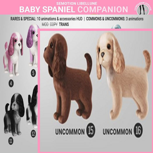 SEmotion Libellune Baby Spaniel Companion UNCOMMON 16