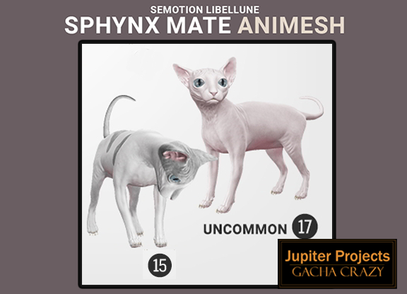 SEmotion Libellune Sphynx Mate Animesh UNCOMMON 17