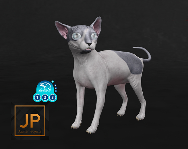 SEmotion Libellune Sphynx Mate Animesh COMMON 14
