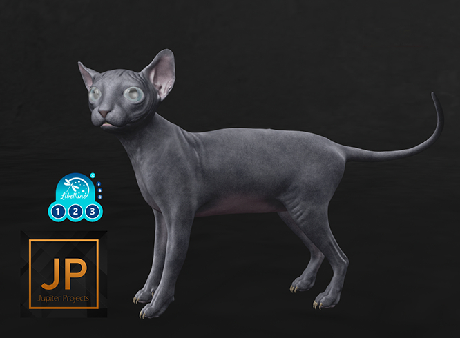 SEmotion Libellune Sphynx Mate Animesh COMMON 10