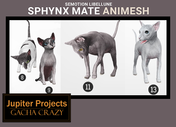 SEmotion Libellune Sphynx Mate Animesh COMMON 08