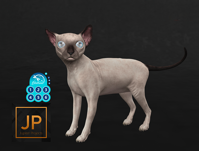 SEmotion Libellune Sphynx Mate Animesh ULTRARARE 03