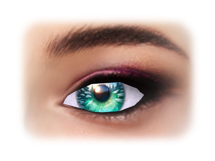 Winter Forest Eye