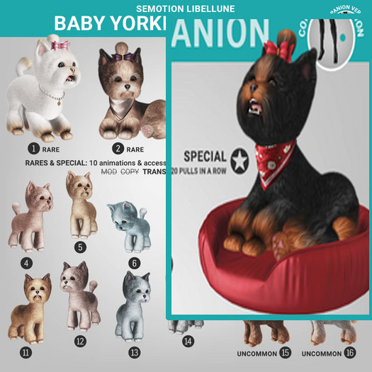 SEmotion Libellune Baby Yorkie Companion SPECIAL