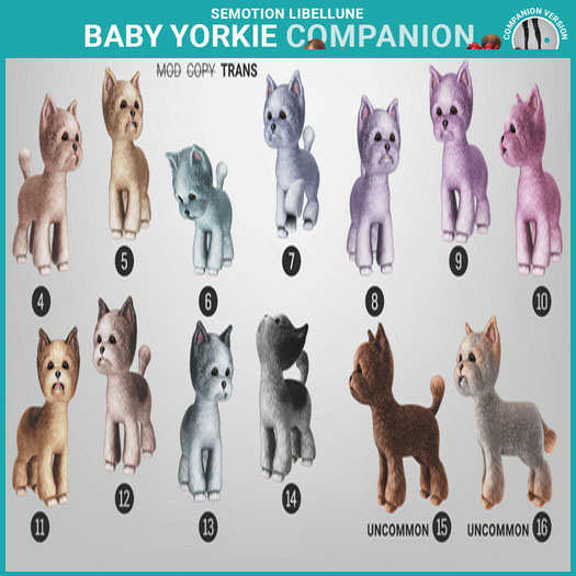 SEmotion Libellune Baby Yorkie Companion COMMON 04